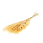 Helecho stabilizovaný 80 g/70 cm světle žlutý - velkoobchod, dovoz květin, řezané květiny Brno