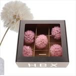 Pampeliška Dandelion 12 x 38 cm/5 kusů růžová - velkoobchod, dovoz květin, řezané květiny Brno