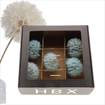 Pampeliška Dandelion 12 x 38 cm/5 kusů světle modrá - velkoobchod, dovoz květin, řezané květiny Brno