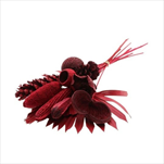 Svazek Exotic mix červený - velkoobchod, dovoz květin, řezané květiny Brno