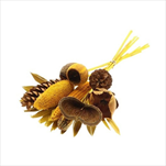 Svazek Exotic mix žlutý - velkoobchod, dovoz květin, řezané květiny Brno