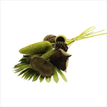 Svazek Exotic mix zelený - velkoobchod, dovoz květin, řezané květiny Brno