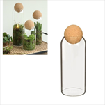 Terárium Sienna pr. 8,5/v. 24 cm - velkoobchod, dovoz květin, řezané květiny Brno