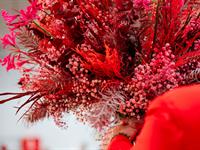 Foto z Vánočního semináře 2024 