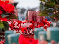 Foto z Vánočního semináře 2024 