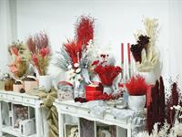 Foto ze Smutečního a dušičkového semináře 2025