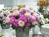 Foto ze Smutečního a dušičkového semináře 2025