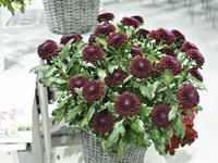 Foto ze Smutečního a dušičkového semináře 2025