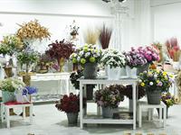 Foto ze Smutečního a dušičkového semináře 2025