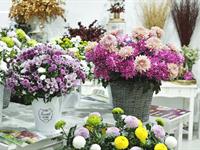 Foto ze Smutečního a dušičkového semináře 2025