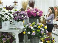 Foto ze Smutečního a dušičkového semináře 2025