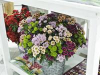 Foto ze Smutečního a dušičkového semináře 2025