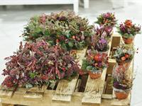 Foto ze Smutečního a dušičkového semináře 2025