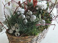 Foto ze Smutečního a dušičkového semináře 2025