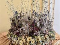 Brněnská růže 2024