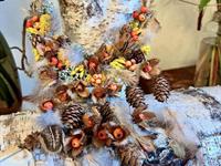 Brněnská růže 2024