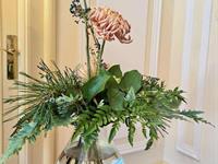 Brněnská růže 2024