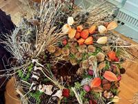 Brněnská růže 2024