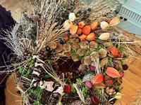 Brněnská růže 2024