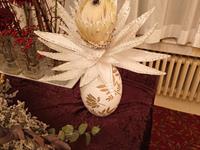 Brněnská růže 2025 