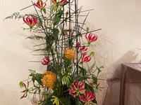 Brněnská růže 2025 