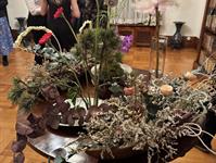 Brněnská růže 2025 