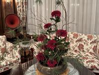 Brněnská růže 2025 