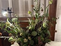 Brněnská růže 2025 