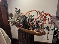 Brněnská růže 2025 