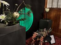 Brněnská růže 2025 