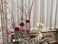 Brněnská růže 2025 