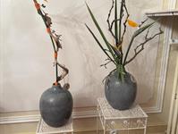 Brněnská růže 2025 