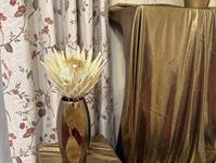 Brněnská růže 2025 