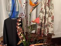 Brněnská růže 2025 