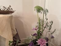 Brněnská růže 2025 