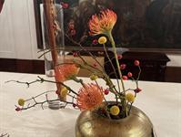 Brněnská růže 2025 