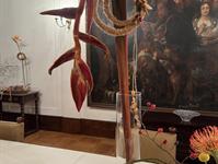 Brněnská růže 2025 