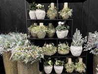 Foto z Vánočního semináře 2025  