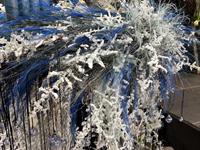 Foto z Vánočního semináře 2025  