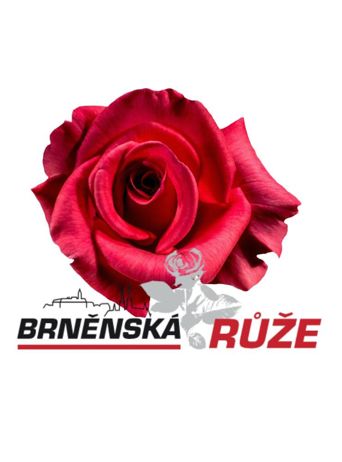 Brněnská růže <span>Mezinárodní soutěž floristů</span>