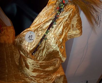 Brněnská růže - ročník 2012