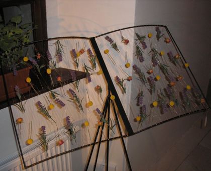 Brněnská růže - ročník 2012