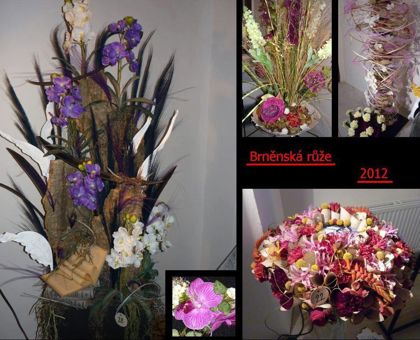 Brněnská růže - ročník 2012
