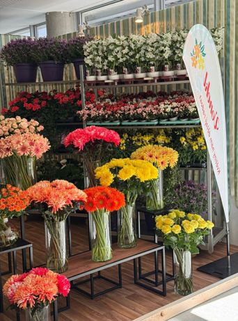 Flora Olomouc  <span>expozice na výstavišti</span>