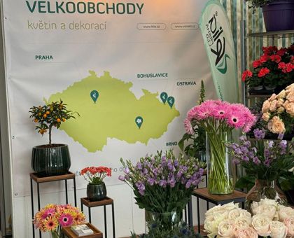 Flora Olomouc 2026