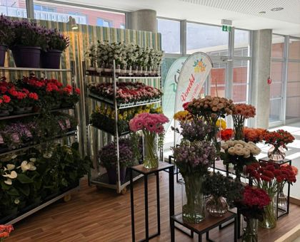 Flora Olomouc 2026