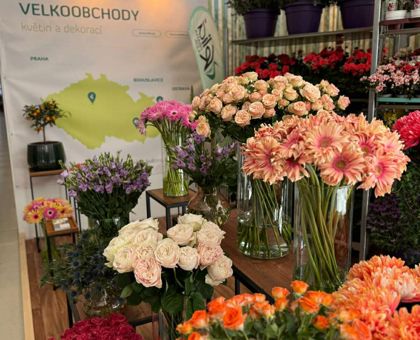 Flora Olomouc 2026