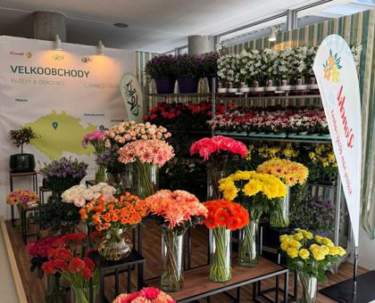 Flora Olomouc 2026