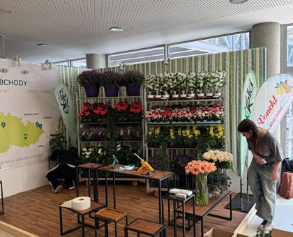 Flora Olomouc 2026