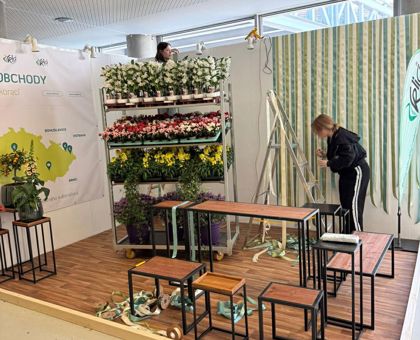 Flora Olomouc 2026